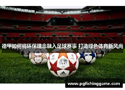 德甲如何将环保理念融入足球赛事 打造绿色体育新风尚