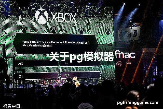 关于pg模拟器